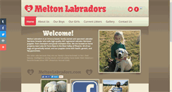 Desktop Screenshot of meltonlabradors.com