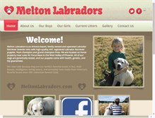 Tablet Screenshot of meltonlabradors.com